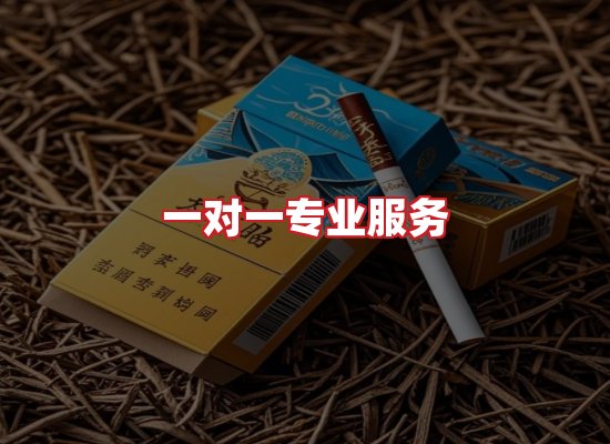 专业团队